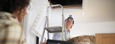 ladder loft insulation