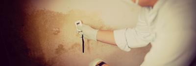 Damp patches on wall, man uses gadget to read damp levels on wall 