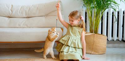 girl playing with kitten