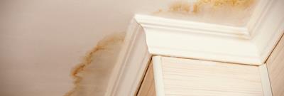 Water damage patches on a ceiling around coving on a wall