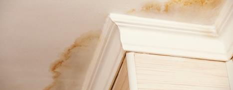 Water damage patches on a ceiling around coving on a wall