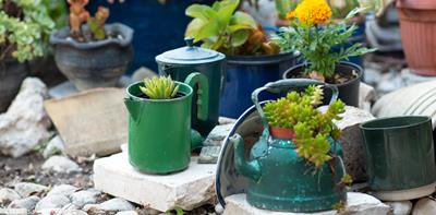 garden plants teapots