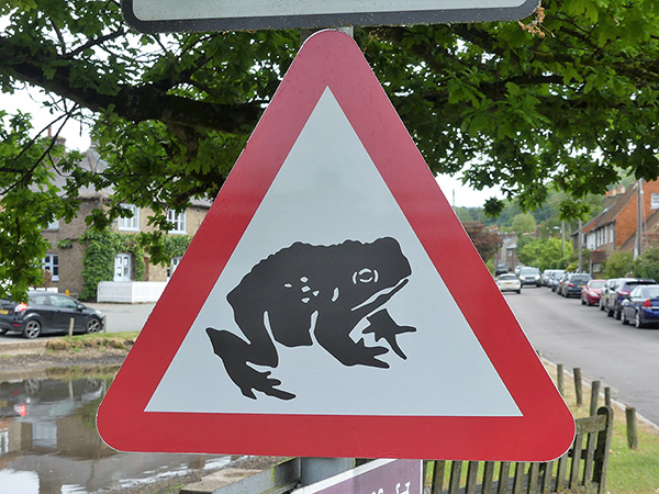 Toads on road warning sign