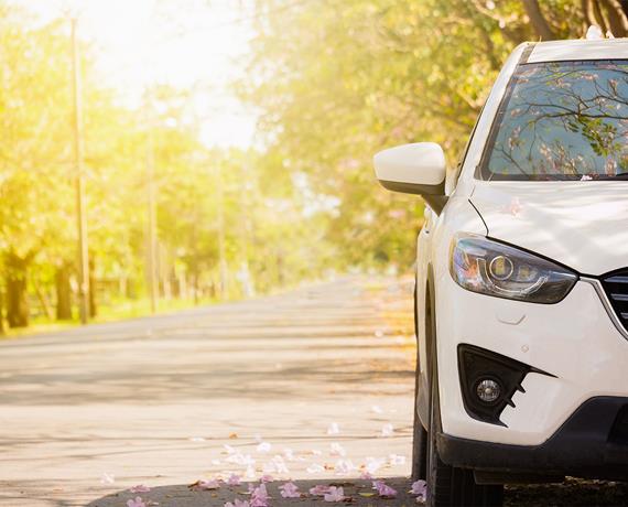 White car in forest