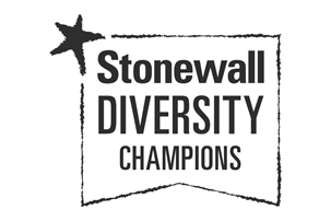 Stonewall Diversity Champion logo