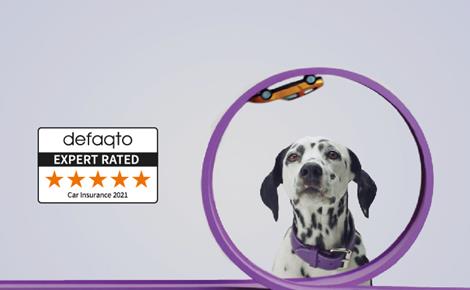 Defaqto 5 Star Rated Insurance