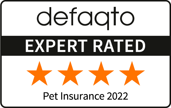 Defaqto 4 Star rated pet insurance