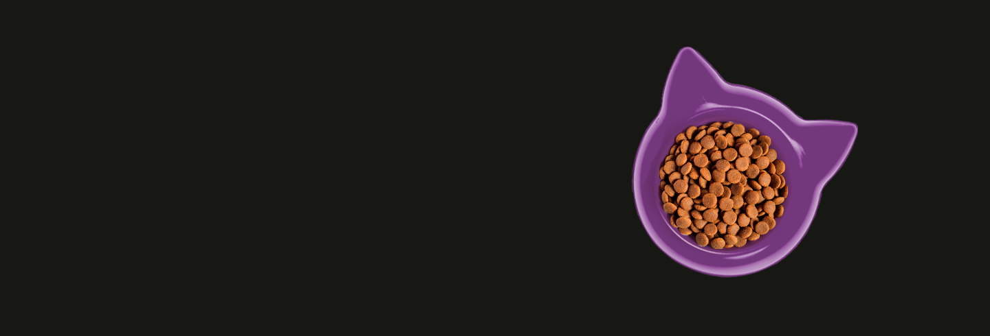 Ageas cat insurance Ageas