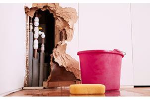 Pink bucket and sponge next to damage wall with visible pipes