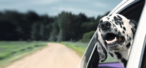Ageas Car Insurance >> Had A Motor Accident With An Ageas Customer Ageas Ageas Car Insurance >> Had A Motor Accident With An Ageas Customer Ageas