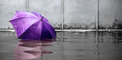 purple umbrella floating in floodwater