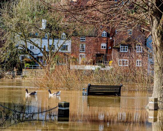 photo of a flooded street and park area