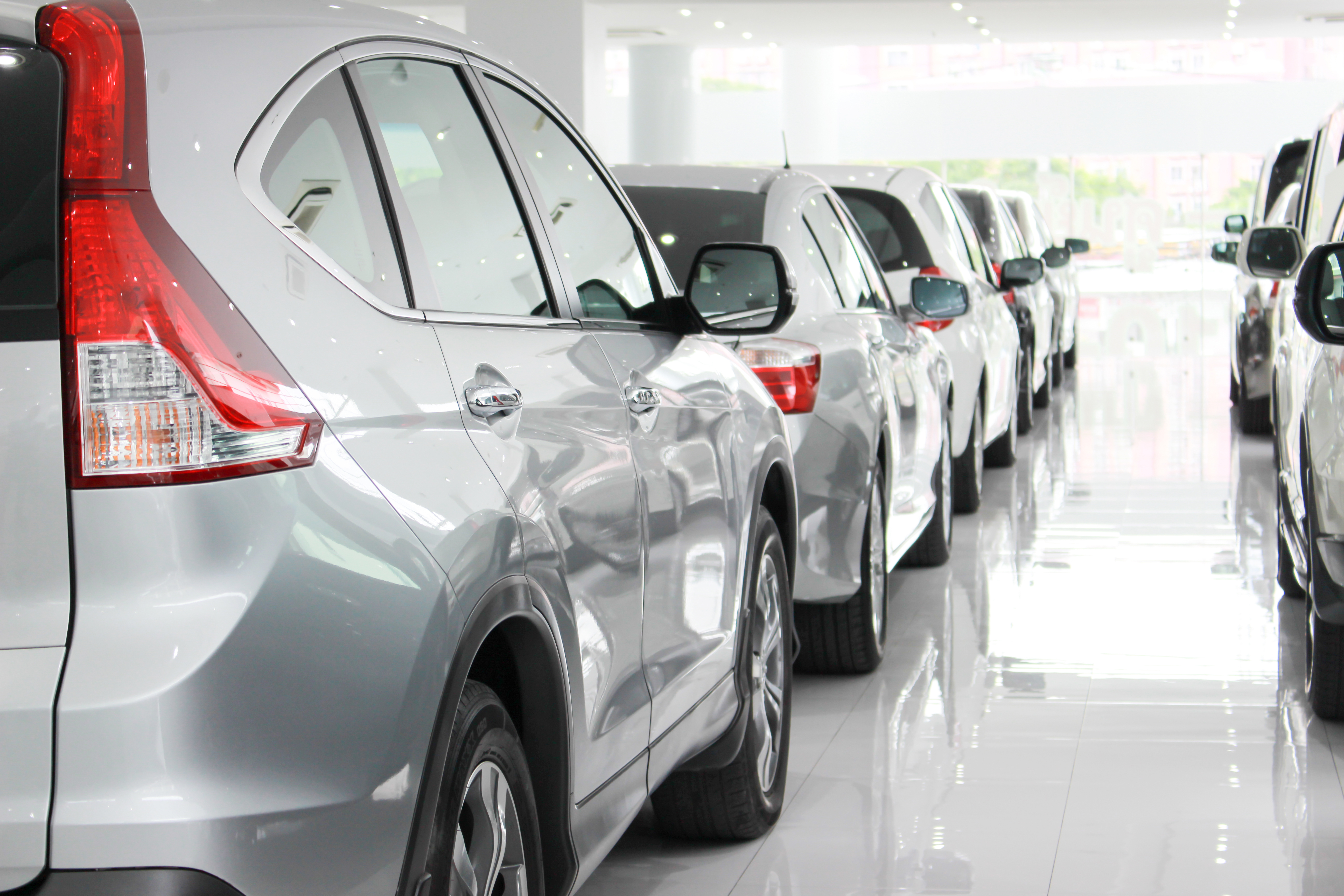 New cars in line in a car showroom