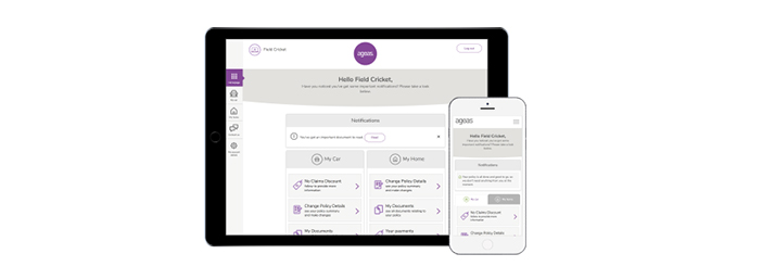 Ageas Portal on mobile devices