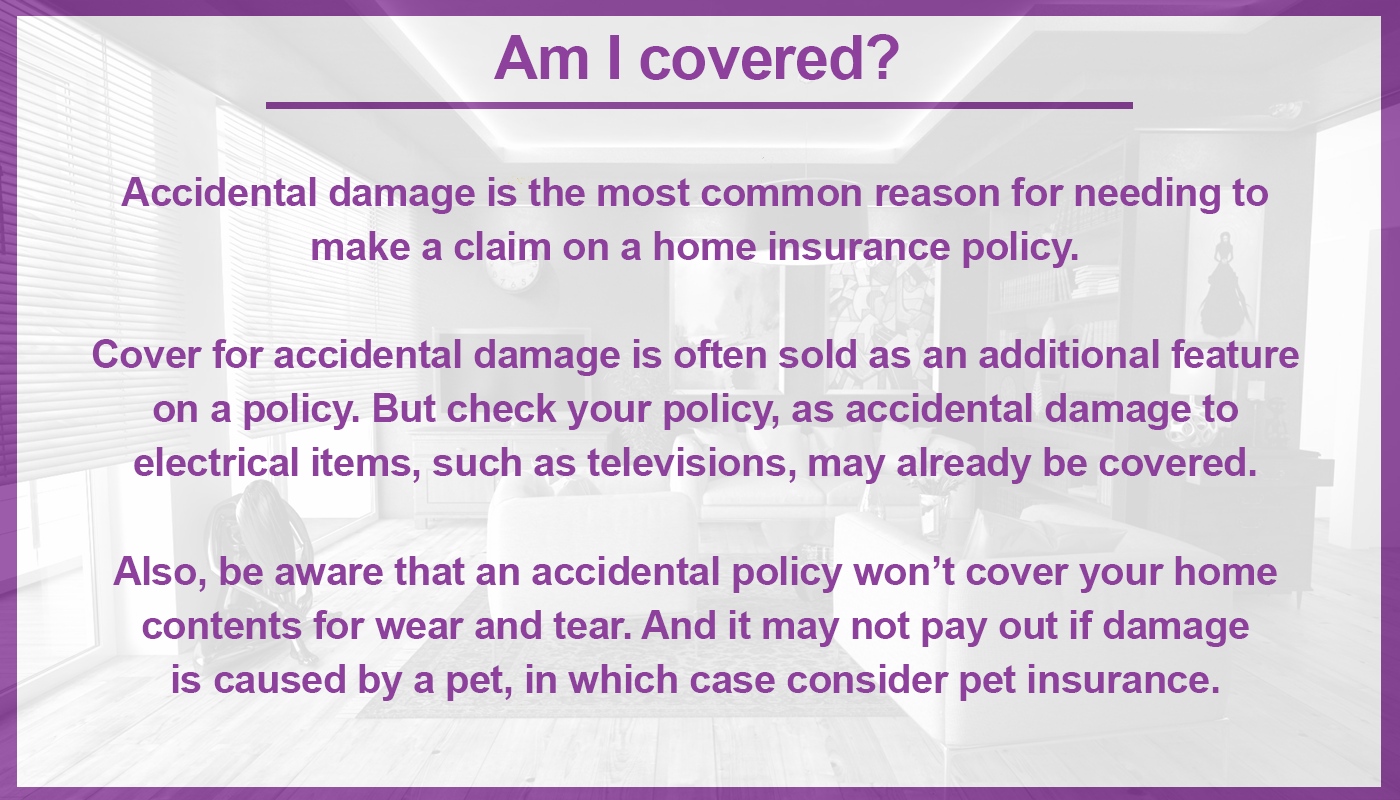 7 bizarre home insurance claims  Ageas