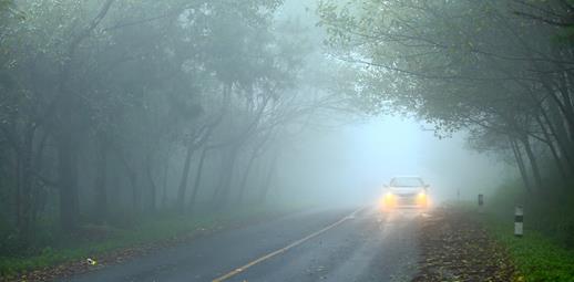 Fog Lights: What Are They and When to Use Them