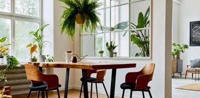 bright, modern home interior with a variety of house plants