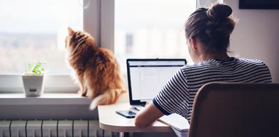 woman laptop home cat