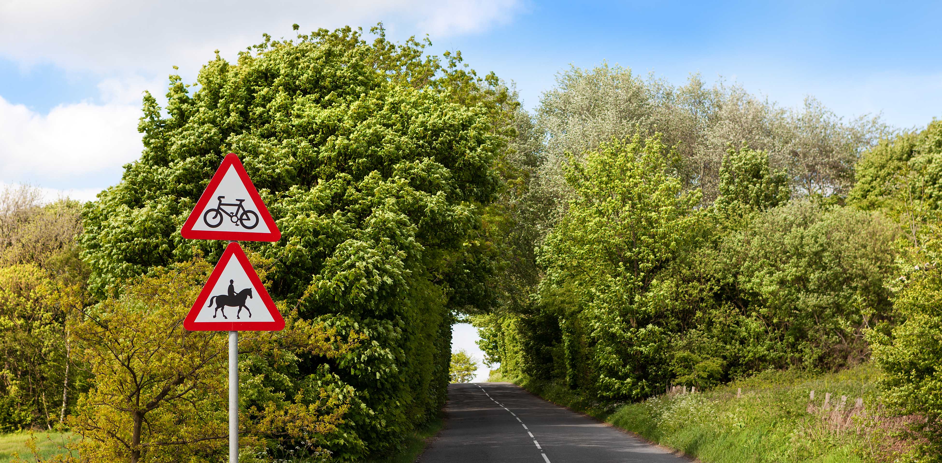 How to drive safely on country lanes - Ageas