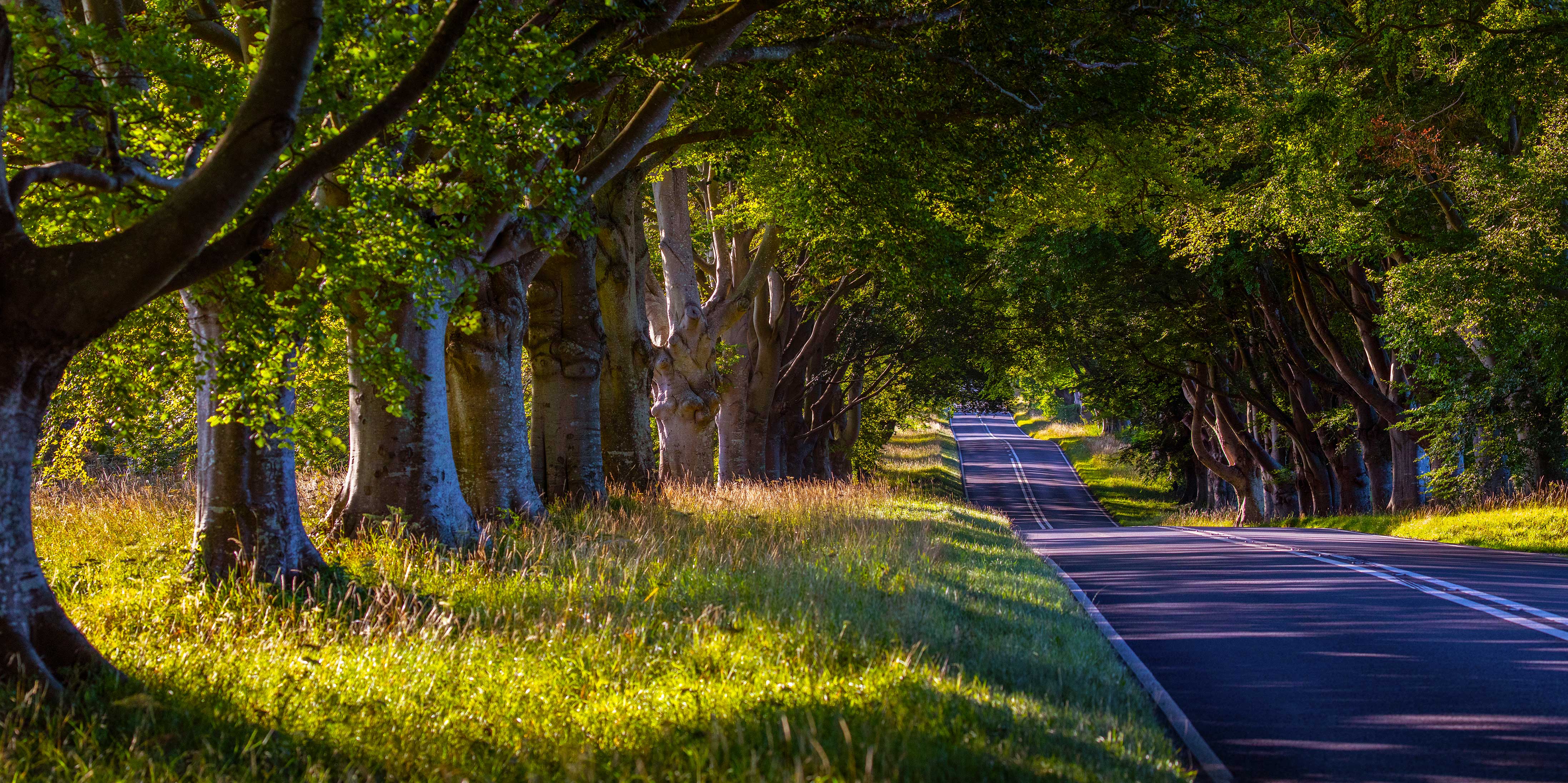 Rural Roads: Where Adventure Meets Isolation - 9ys0d6p