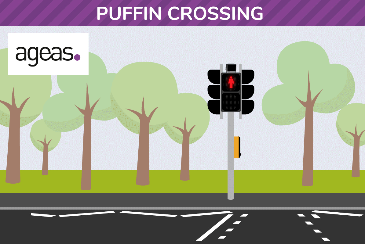puffin-crossing_v4.gif
