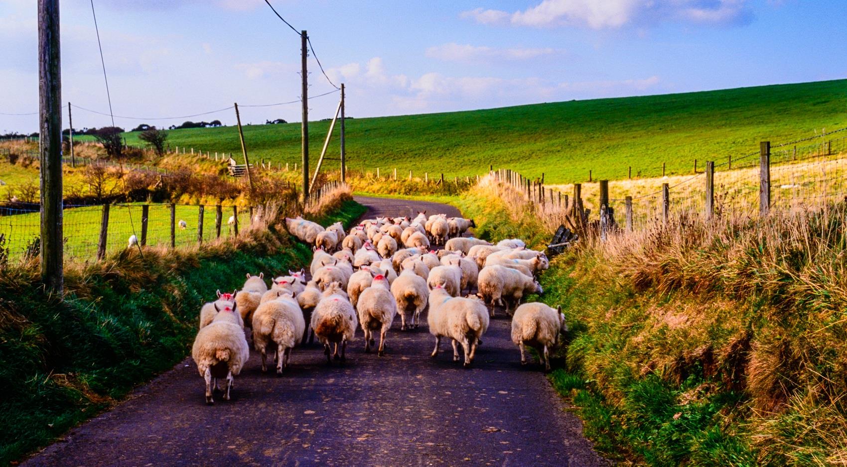 Rural roads -  top tips to keep safe